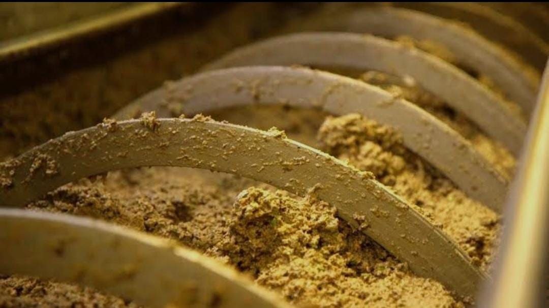 Gramolatura: Preparazione della Pasta d'Olio