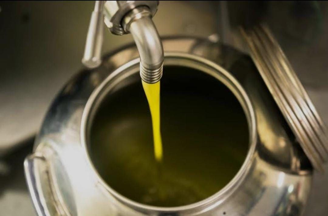 Separazione dell’Olio dall’Acqua – Spremitura a Freddo